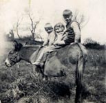 Fabian, Sebastian, and a cousin, sitting on the back of Judy, the family's 35 year old donkey.
